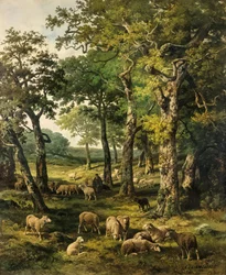 A Summer Morning in the Forest of Fontainebleau